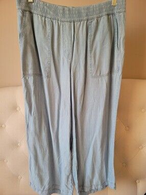 Hilary Radley SzL Blue Wide Leg Crop Pull On Pant Tencel